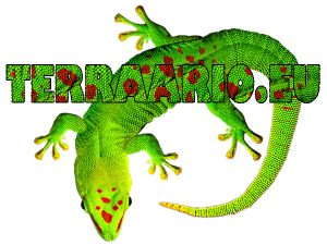 Terraario Tuulettimet