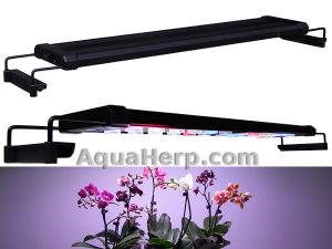 Edullinen LED-kasvivalaisin.
