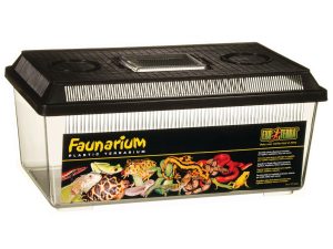 Faunabox muoviterraario.