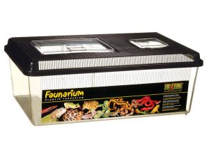 Terraario matala faunabox.